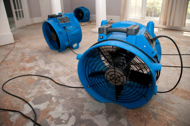  Port Allegany, PA Water damage restoration Pros