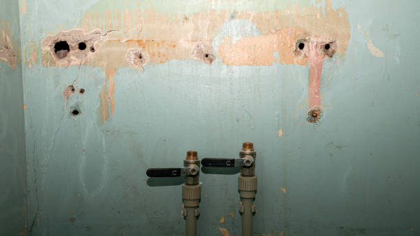 Best Water damage restoration mold remediation  in Port Allegany, PA