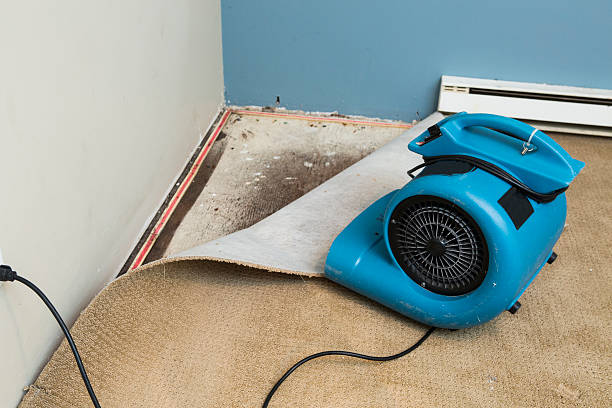 Best Ceiling water damage repair  in Port Allegany, PA